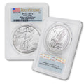 1 oz American Silver Eagle Coin MS-70 F5287
