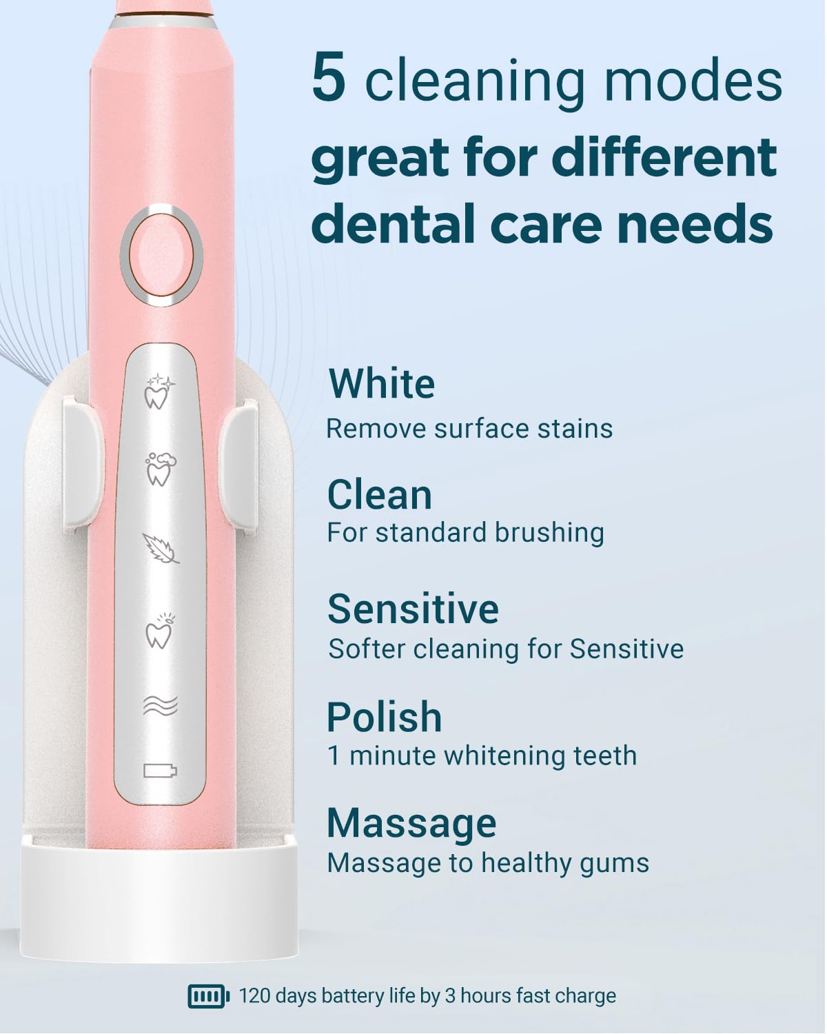 2 Pack Rechargeable Electric Toothbrush with 12 Brush Heads & 2 Travel Case H885081