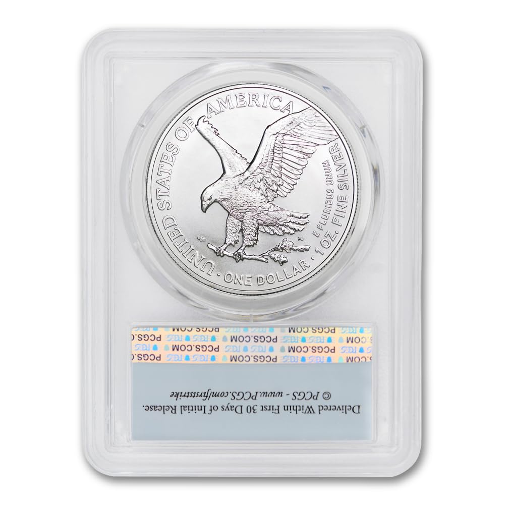 1 oz American Silver Eagle Coin MS-70 F5287