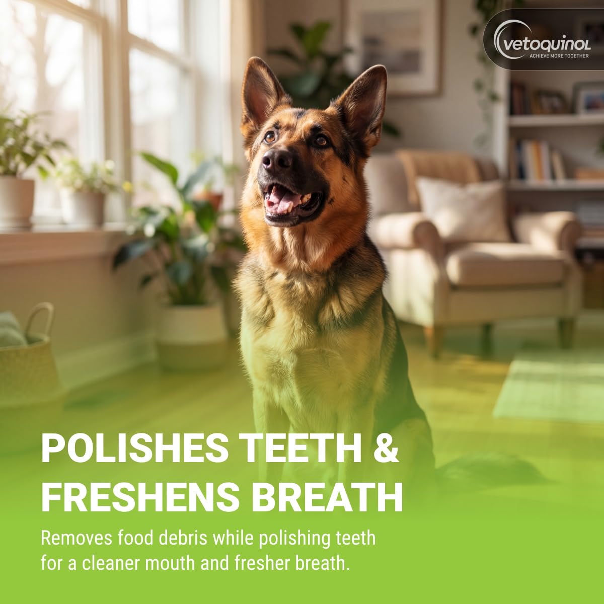 Enzymatic Toothpaste Kit + Fingerbrush, Poultry Flavor M654