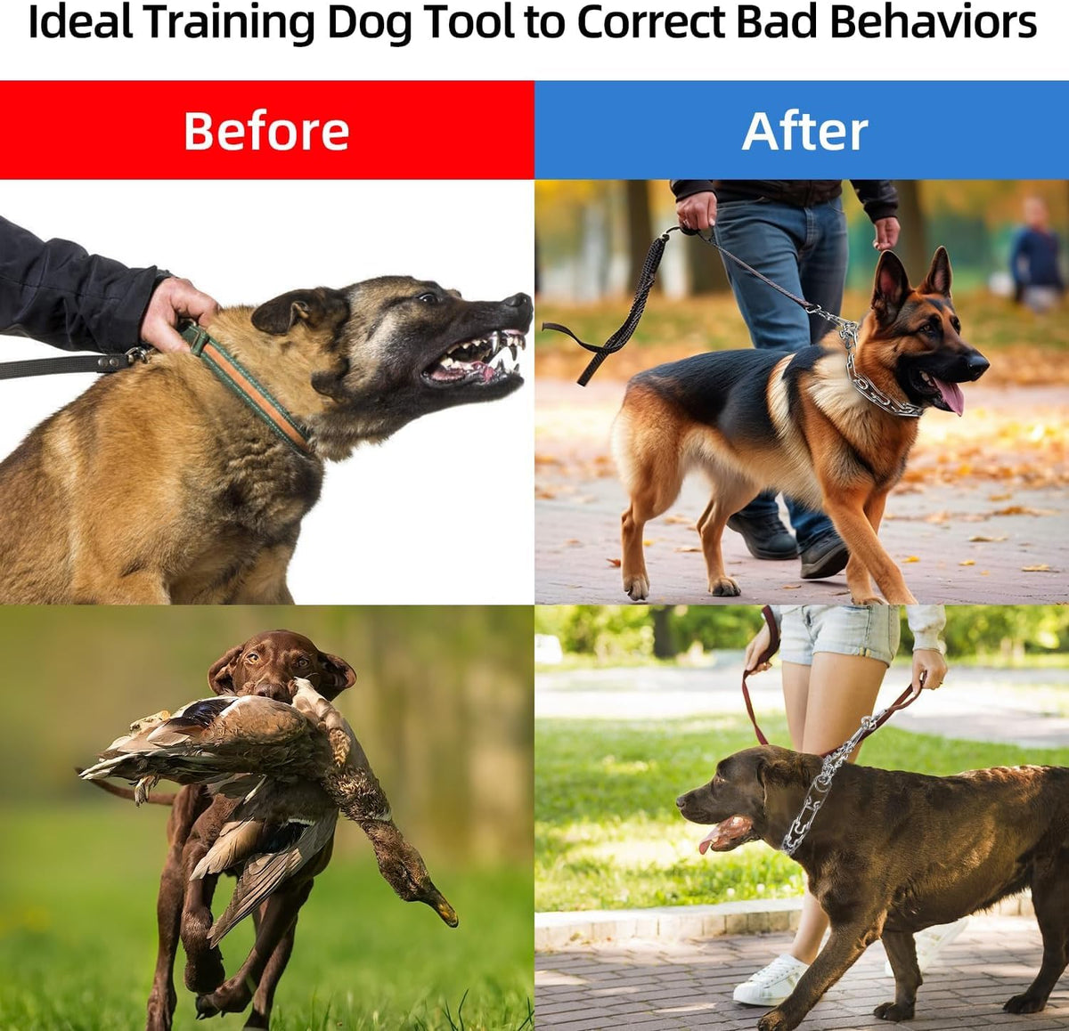 Stainless Steel Adjustable Dog Training Collar J8155