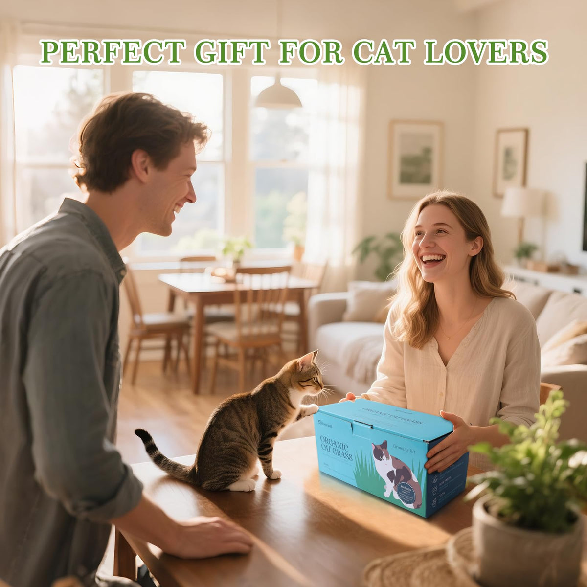 5-Pack Cat Grass Kit with Wood Planter I217162
