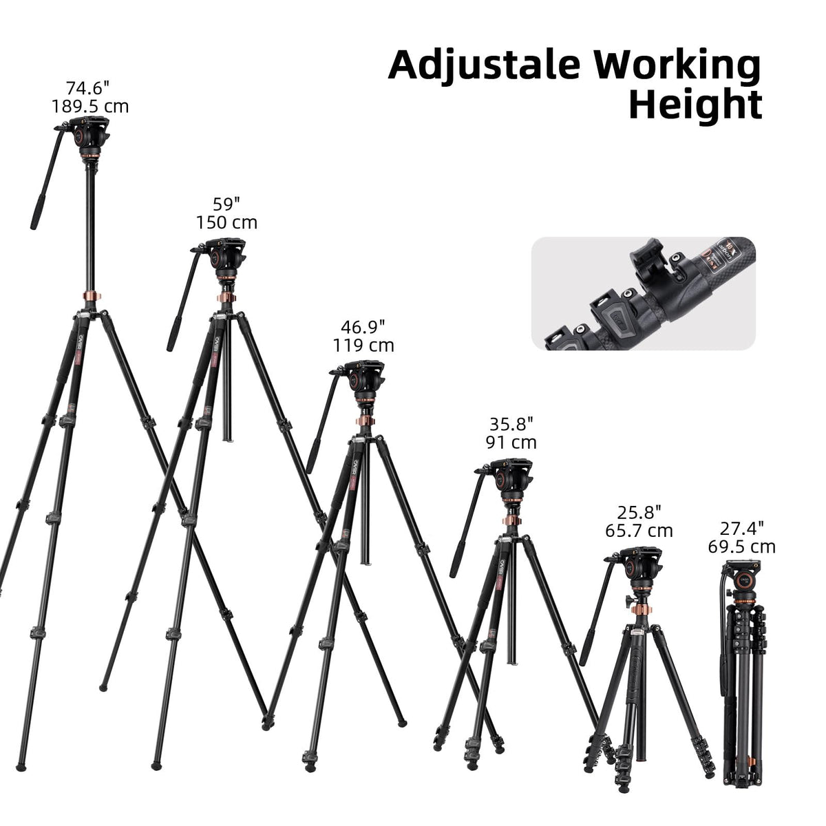 Carbon Fiber 4-Section Tripod D7018