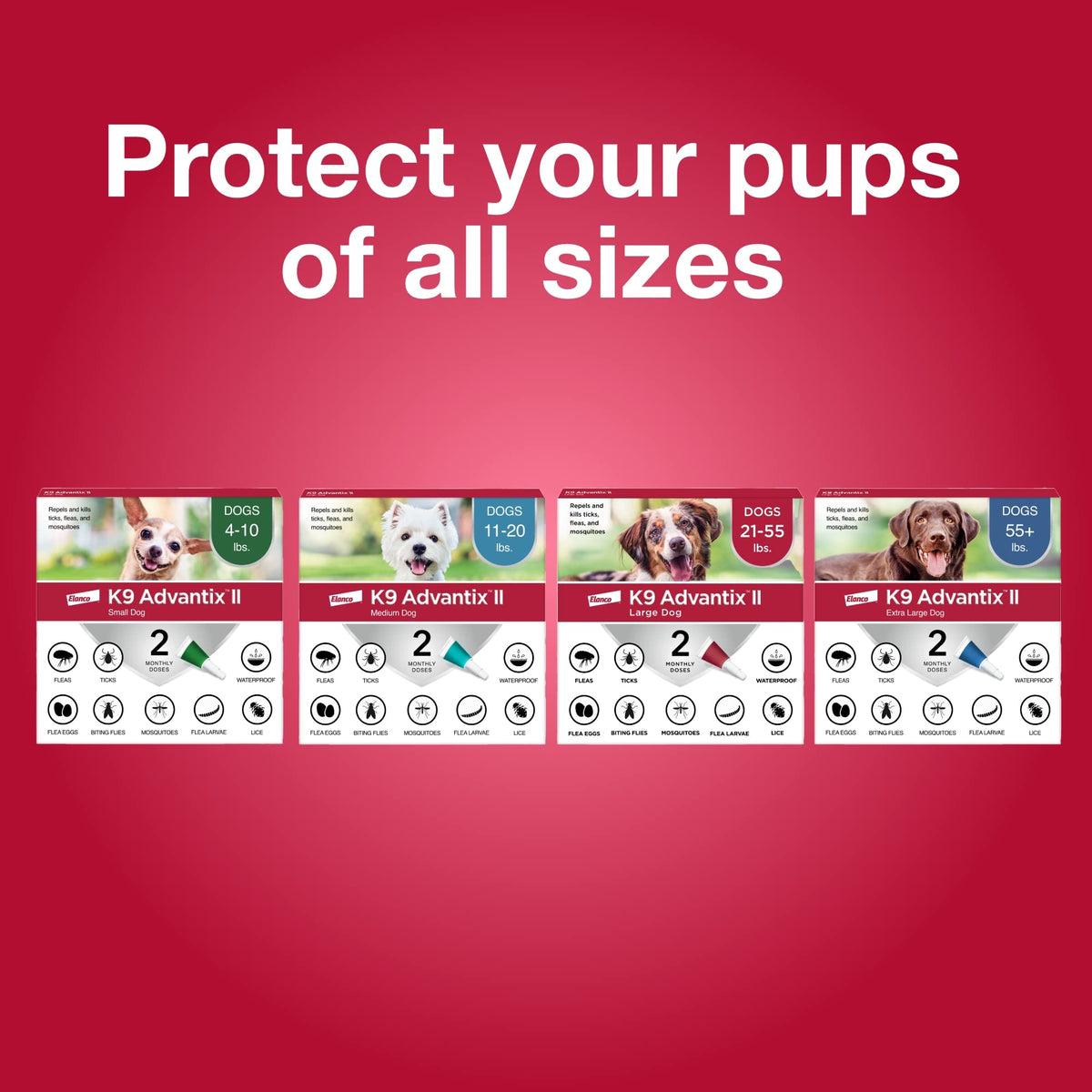 Flea, Tick & Mosquito Treatment & Prevention for Dogs 4-10 lbs Z351