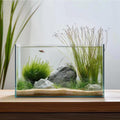3 Gallon Glass Fish Tank S86780
