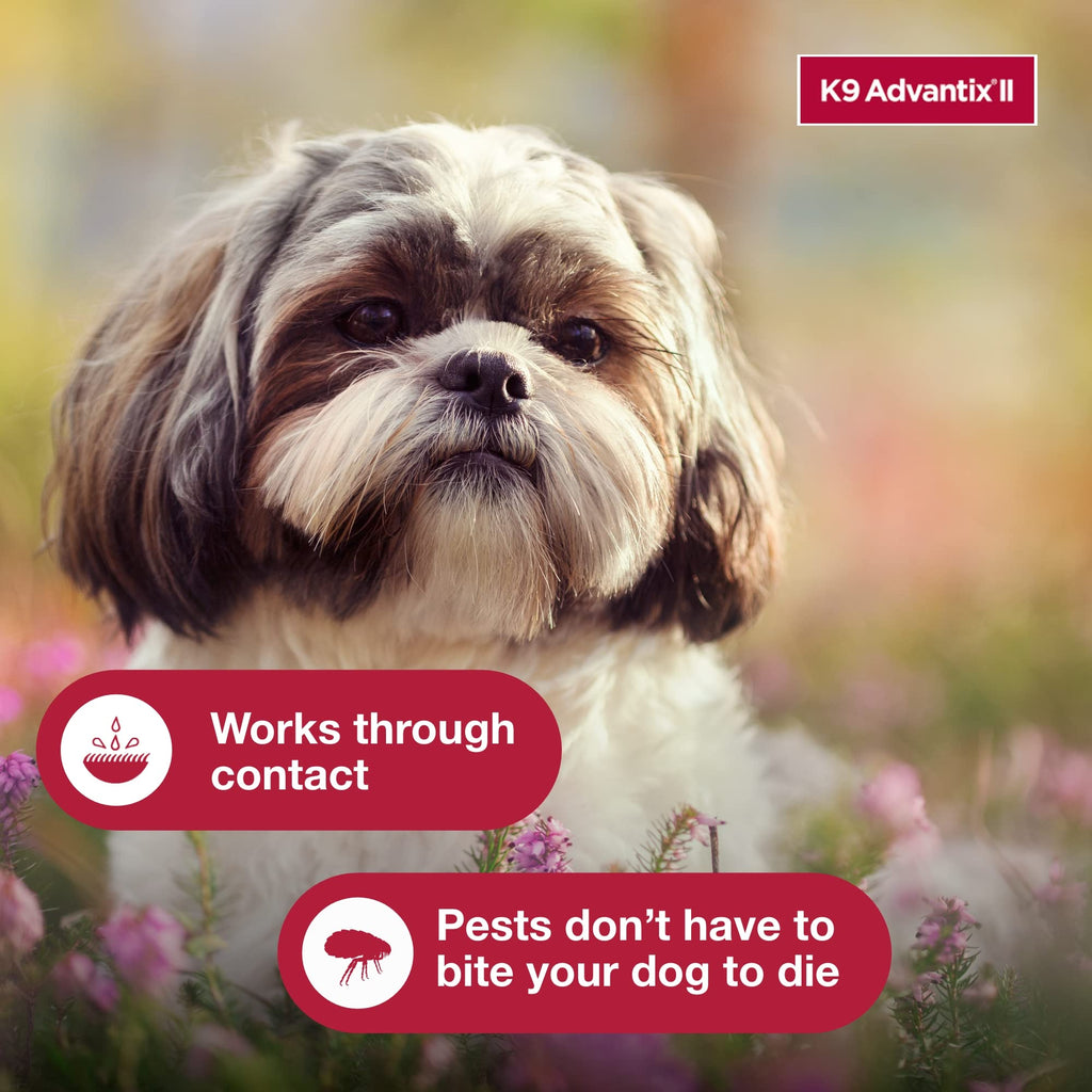 Flea, Tick & Mosquito Treatment & Prevention for Dogs 4-10 lbs Z351