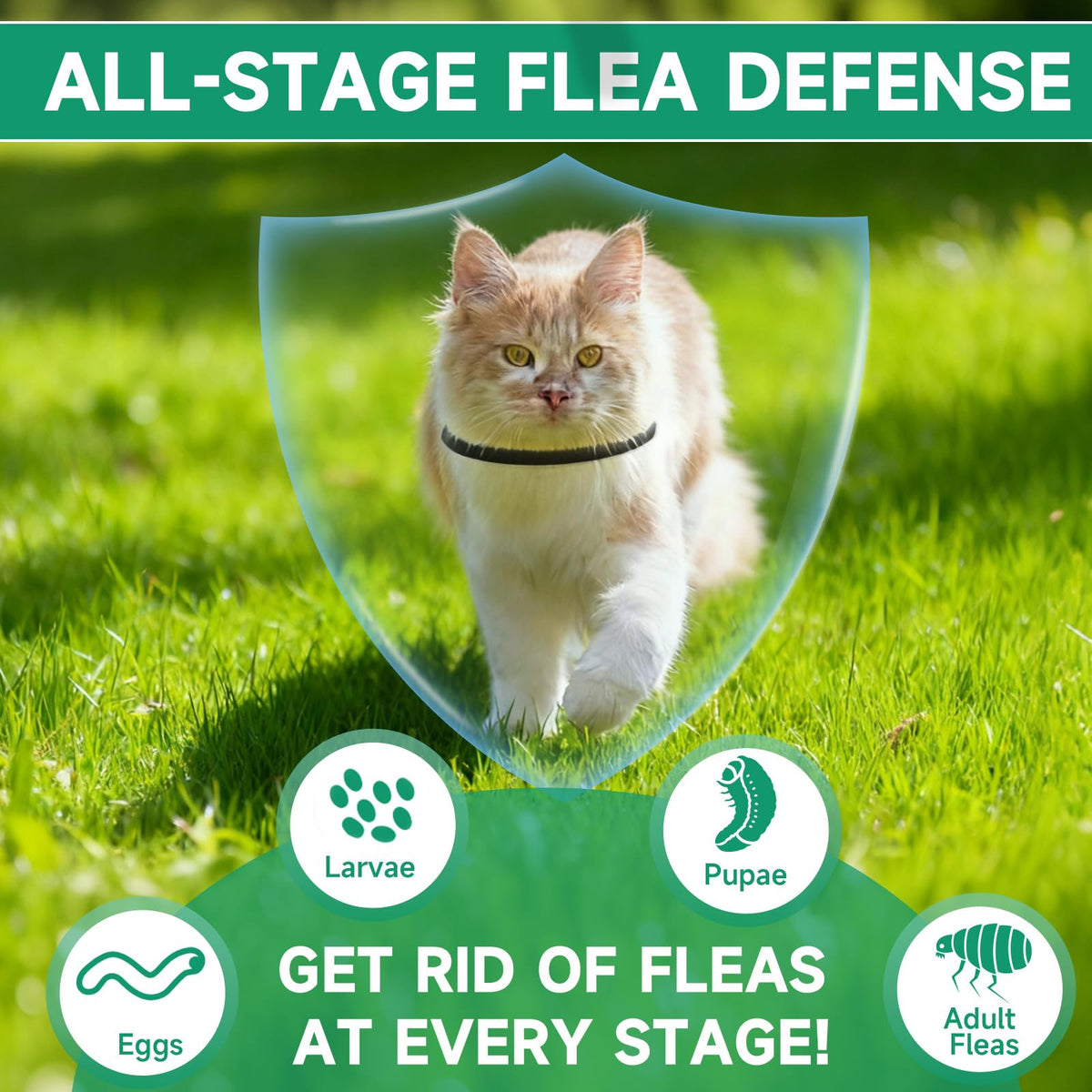 Black 4-Pack Cat Flea and Tick Collar P6932