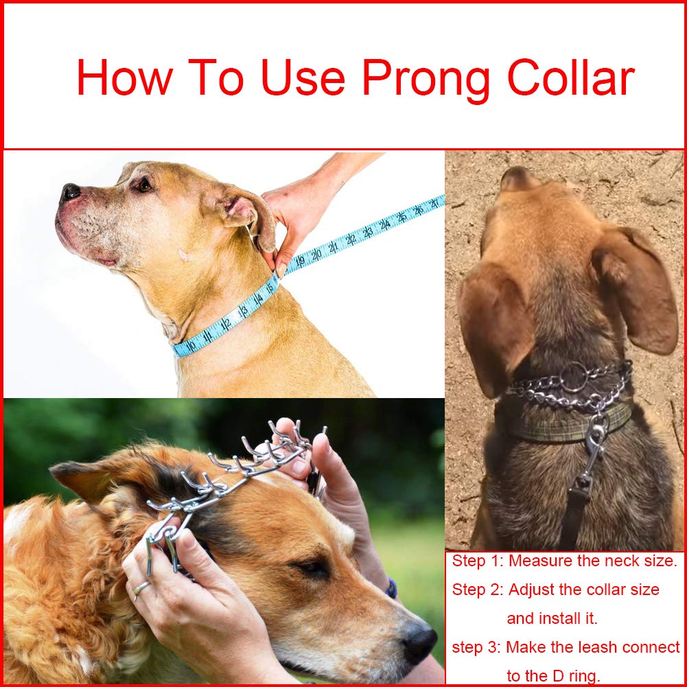 Stainless Steel Adjustable Dog Training Collar J8155