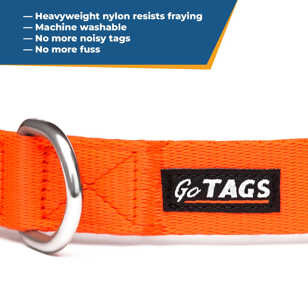 Personalized Dog Collar Y484152