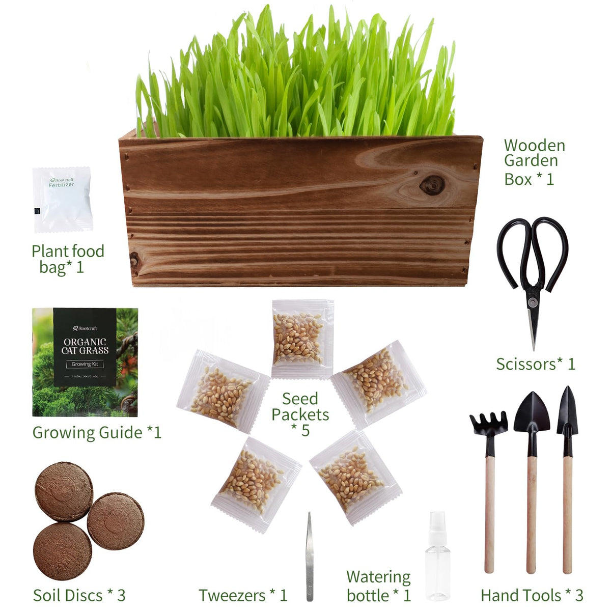 5-Pack Cat Grass Kit with Wood Planter I217162