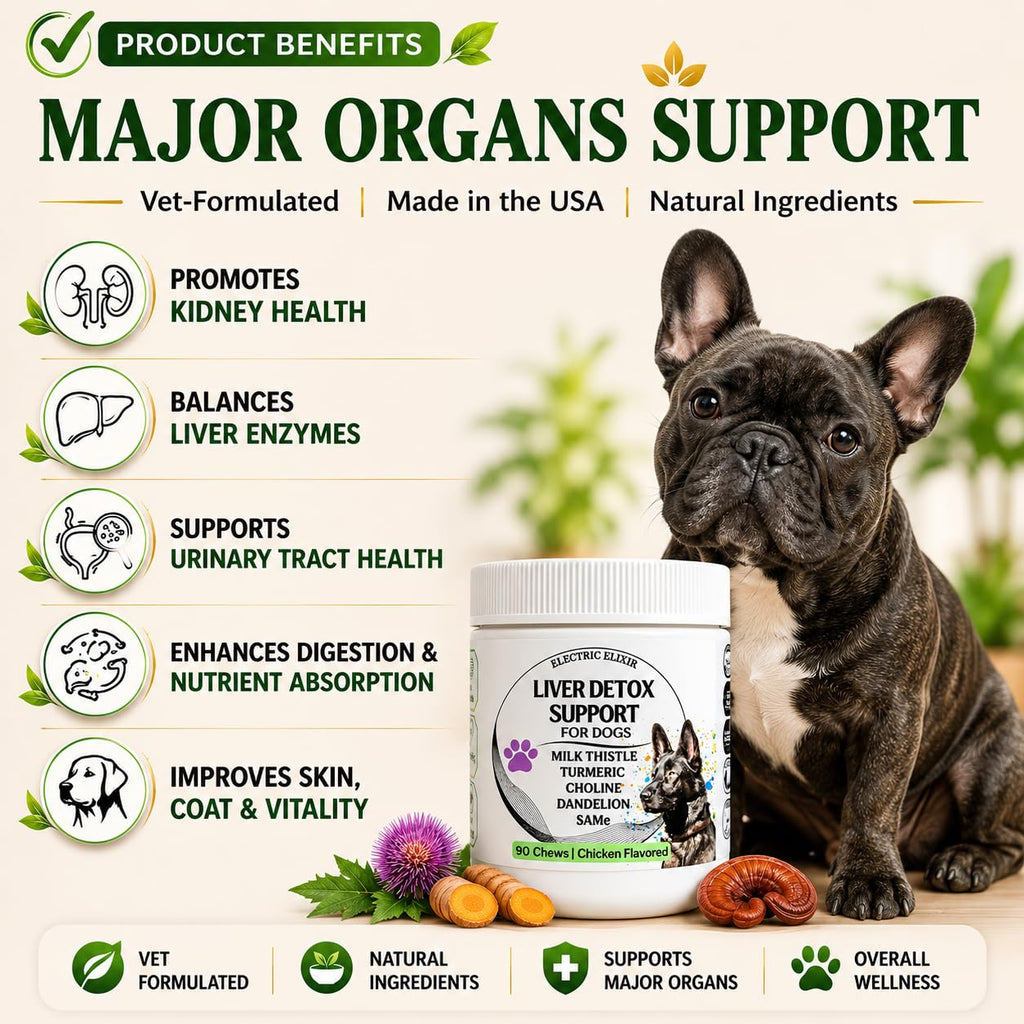Liver Support Supplement for Dogs – Milk Thistle, Turmeric, Same & Choline – 90 Chews A4457