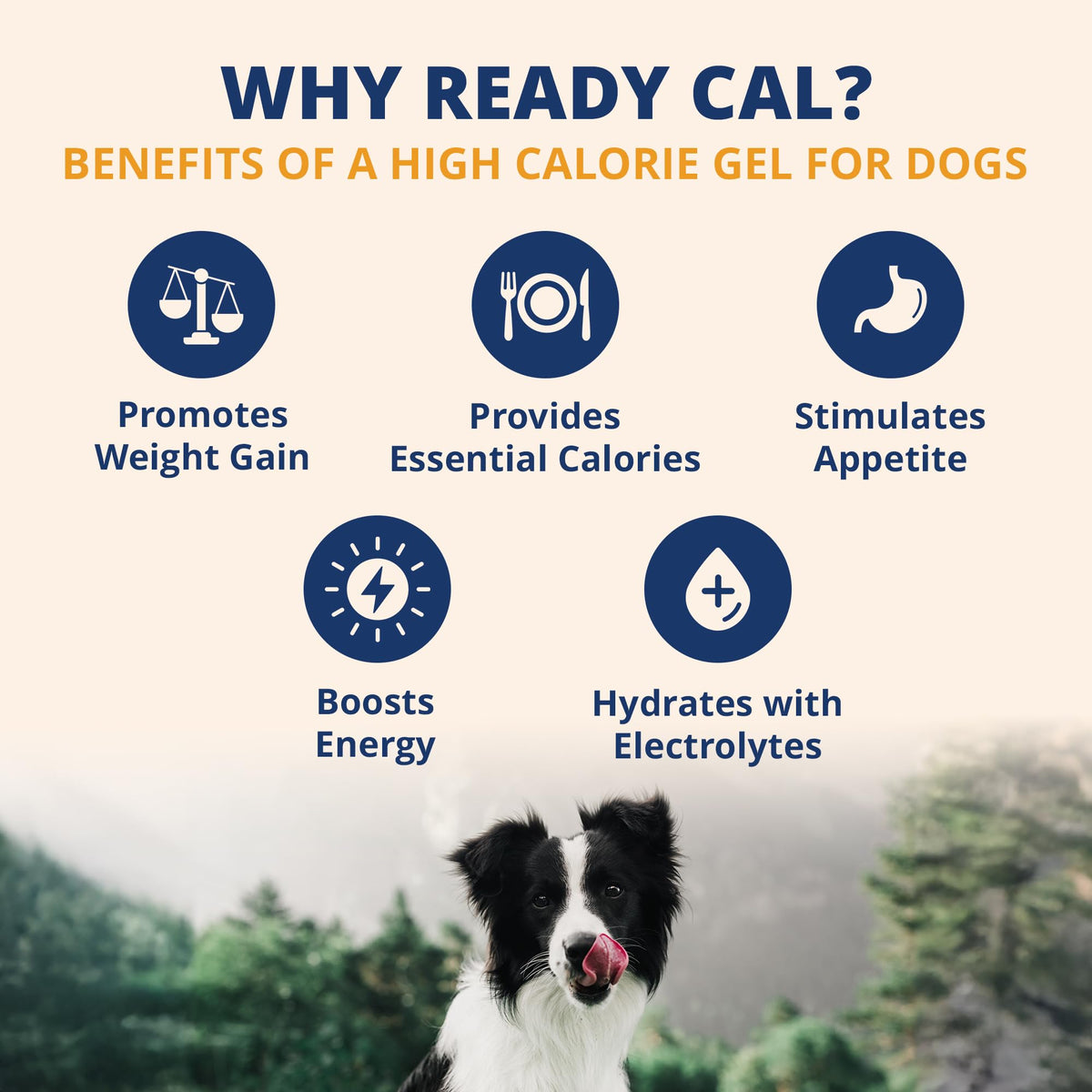 Electrolytes Gel for Dogs 3.5 Oz Tube A6072