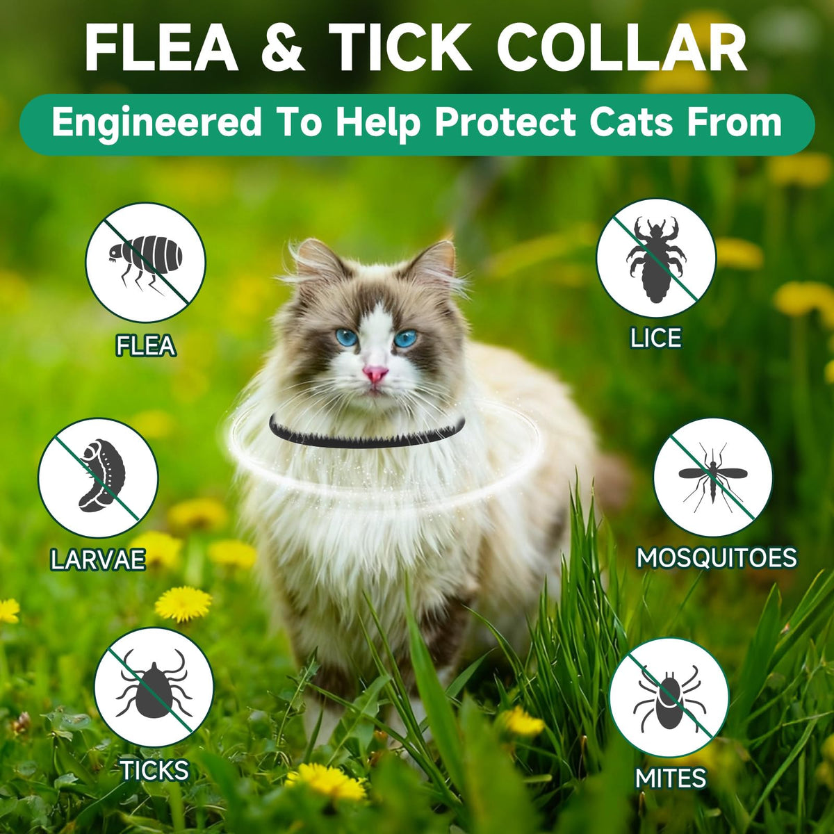 Black 4-Pack Cat Flea and Tick Collar P6932