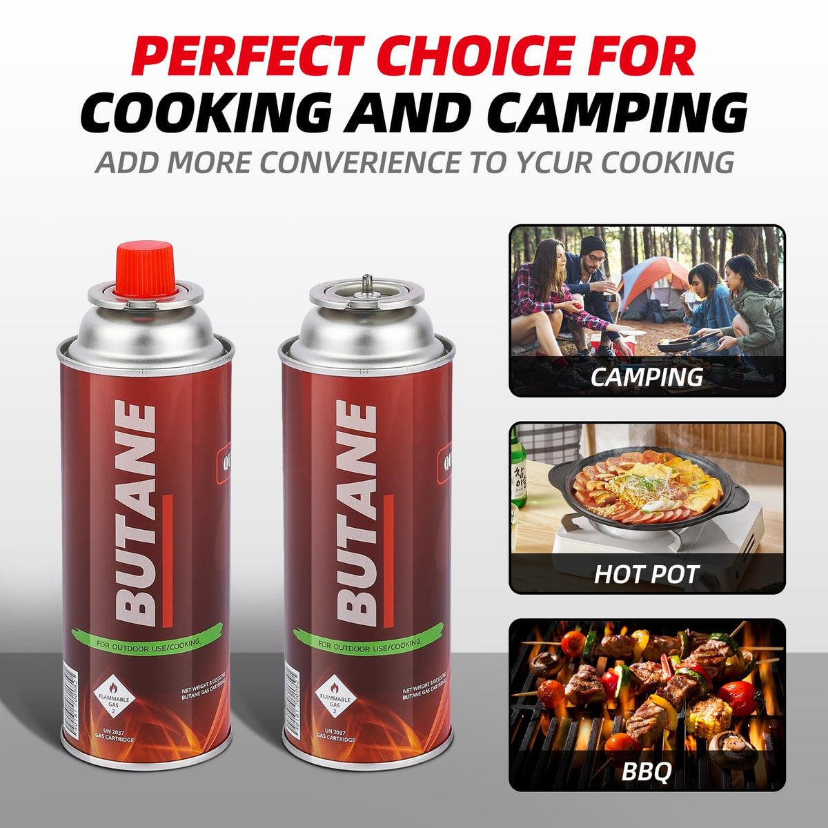 4 Pack Butane Fuel Canisters N698353