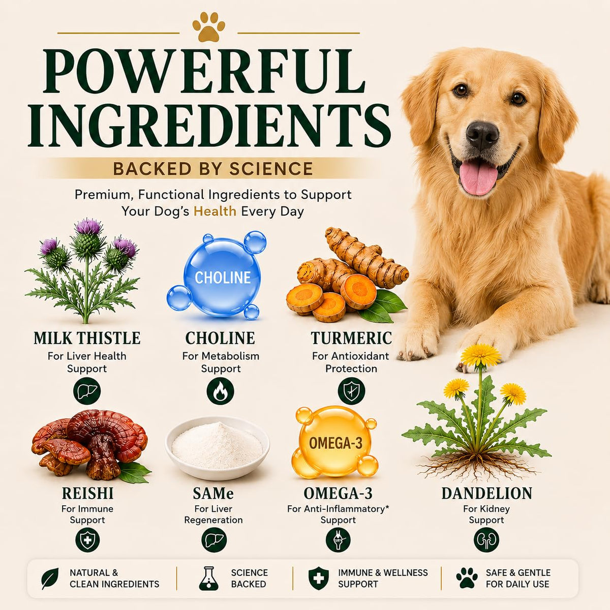 Liver Support Supplement for Dogs – Milk Thistle, Turmeric, Same & Choline – 90 Chews A4457