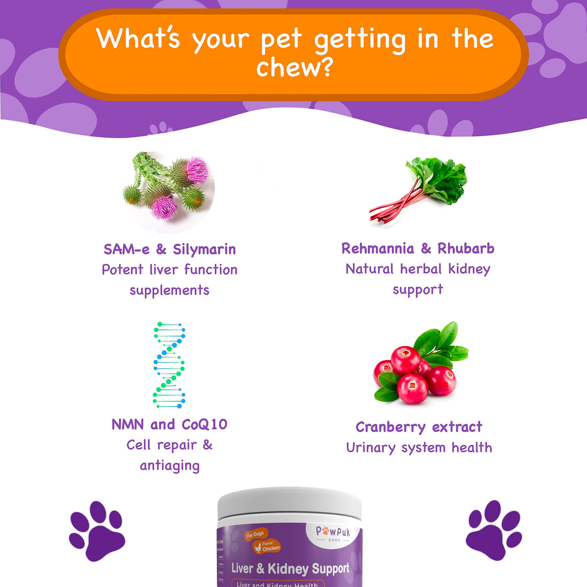 Liver & Kidney Vitamins Supplements for Dogs E314843