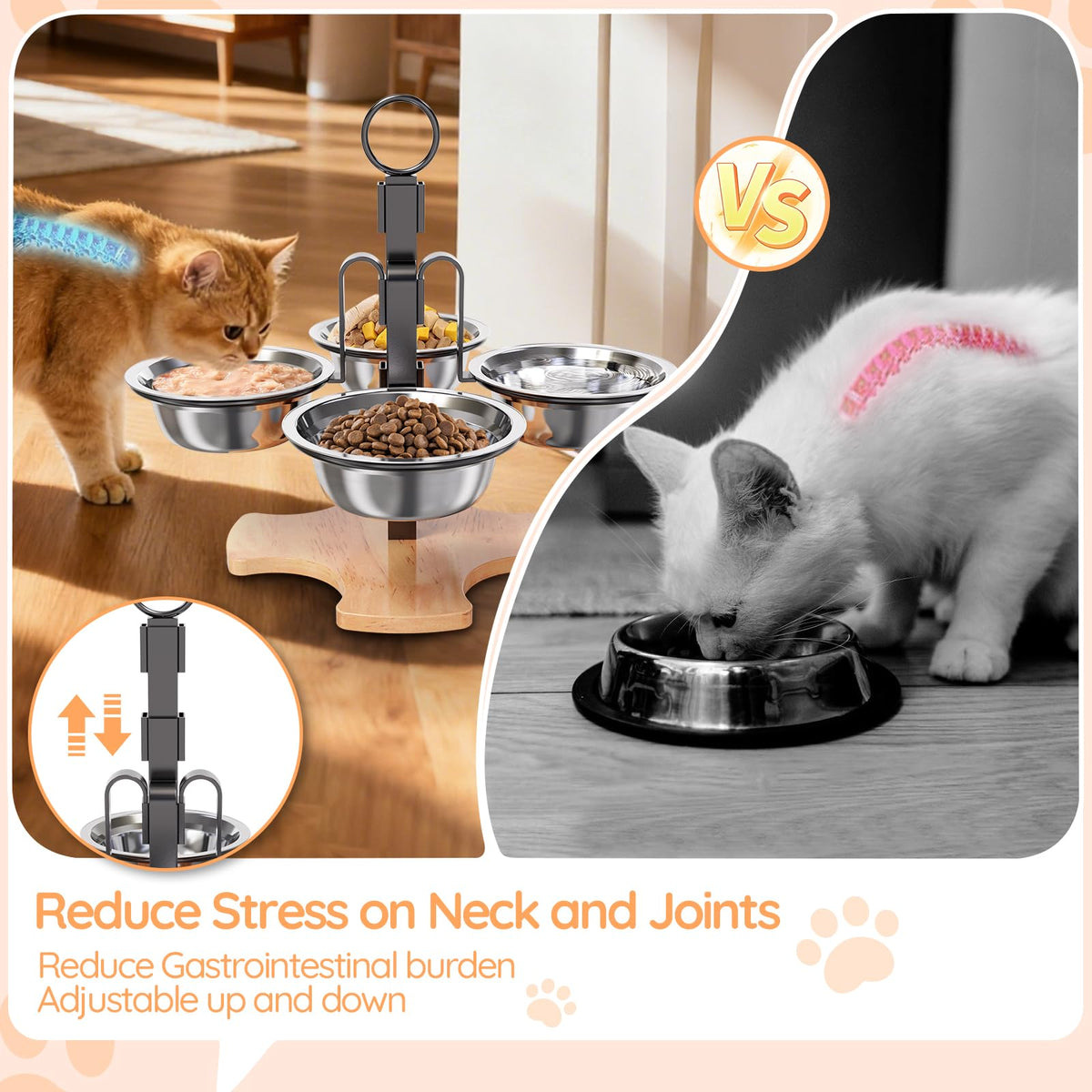Elevated Cat Bowls with Stand Q677540