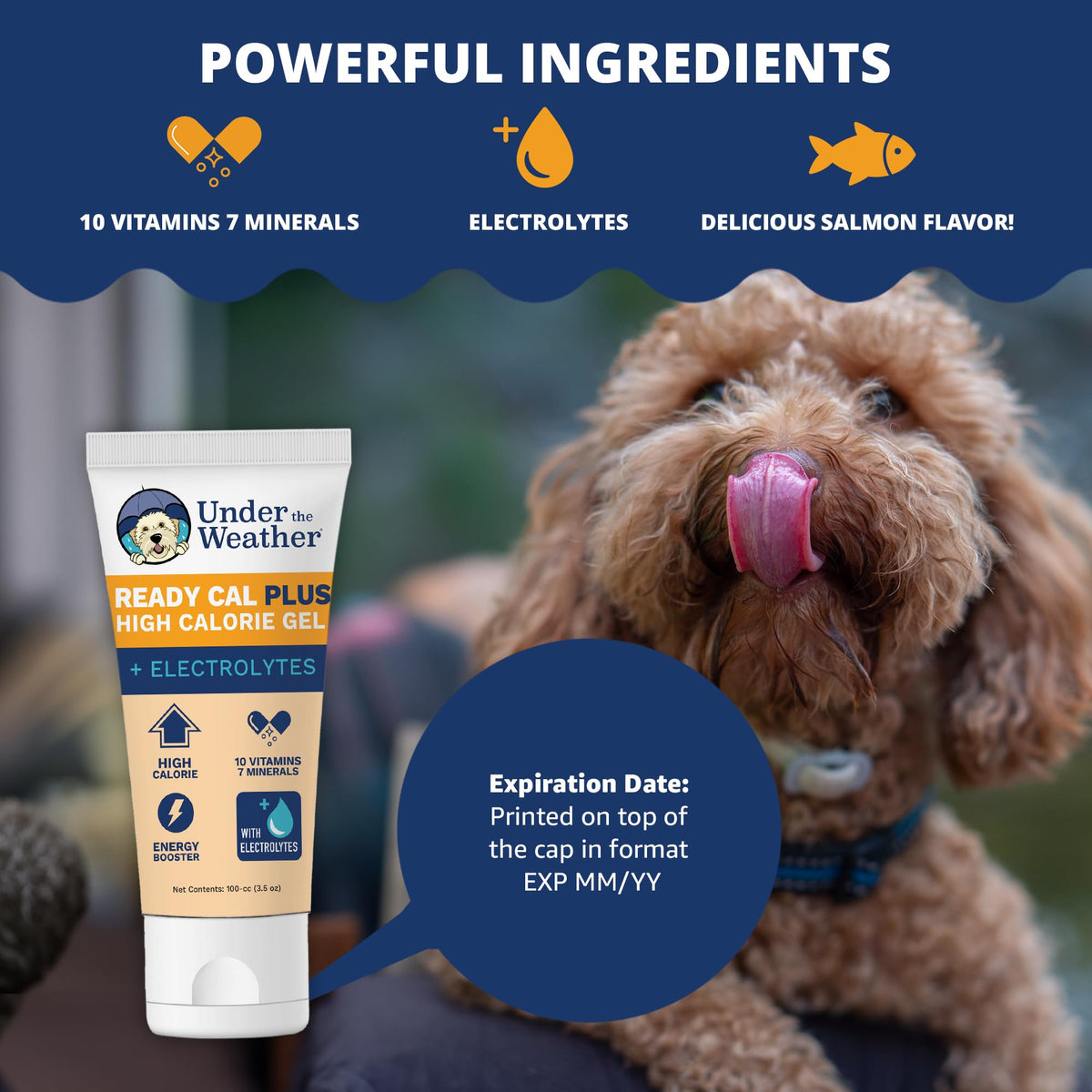 Electrolytes Gel for Dogs 3.5 Oz Tube A6072