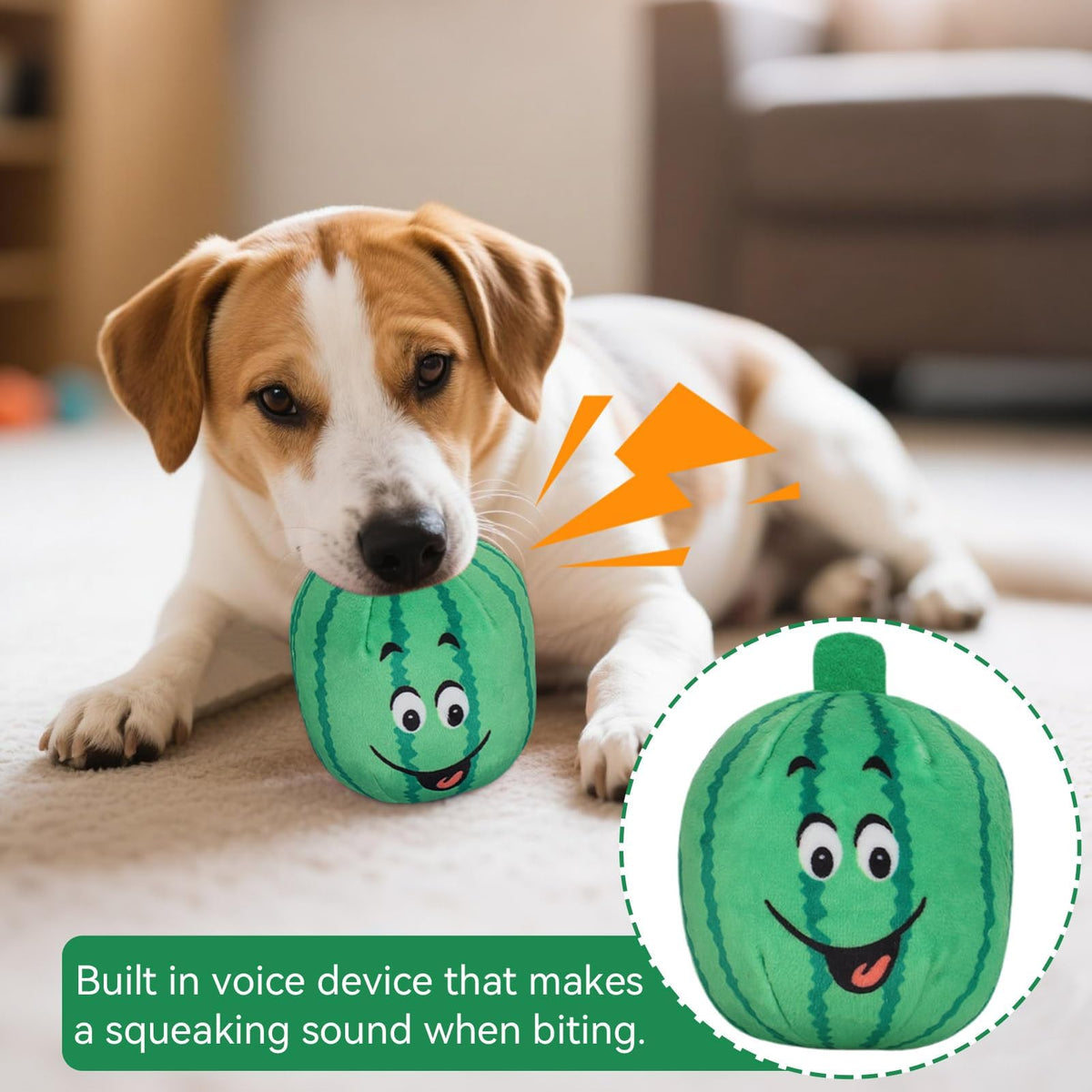 4Pcs Squeaky Plush Dog Toys F4574