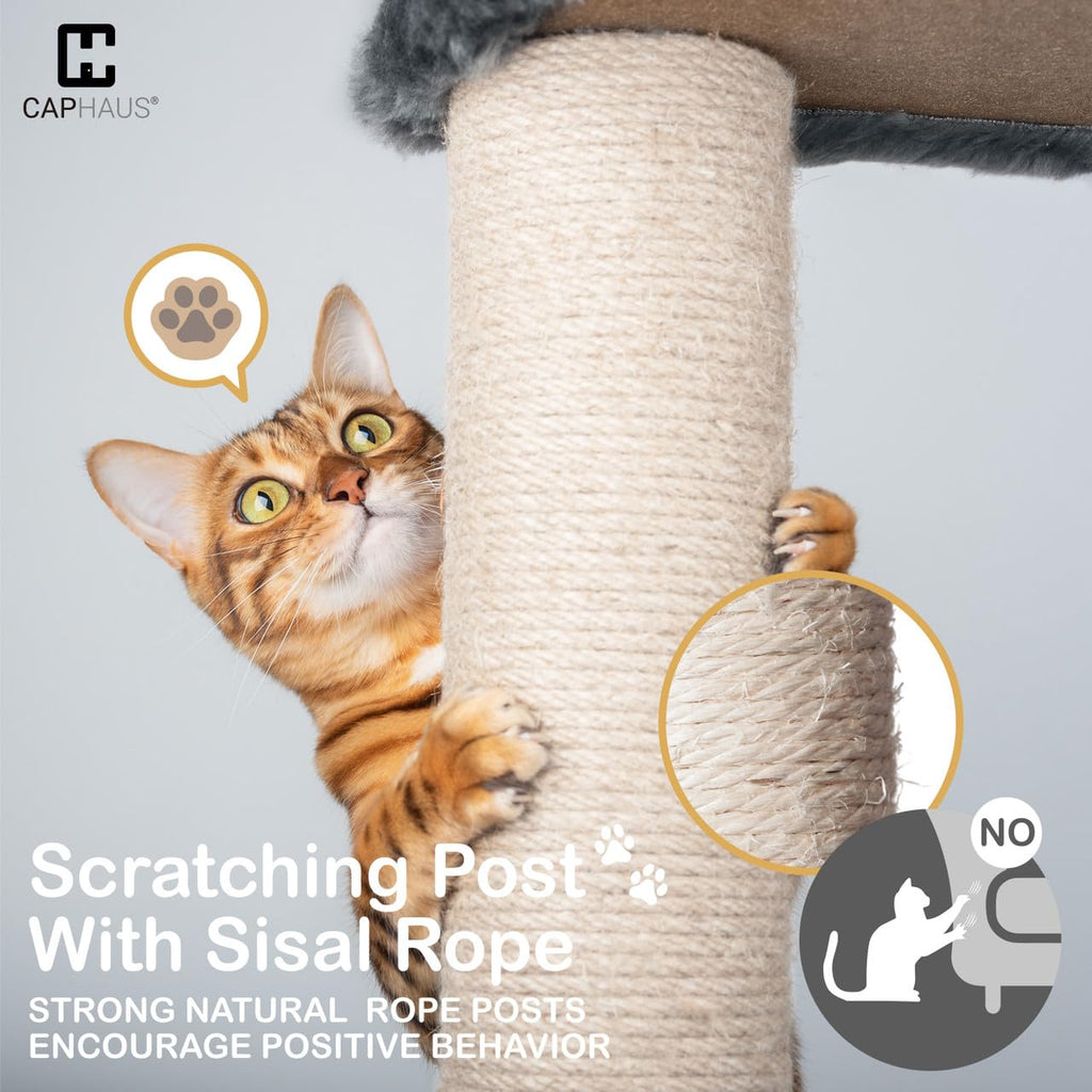 Extra Large 80-Inch Tall Cat Tree with Scratching Posts Q482