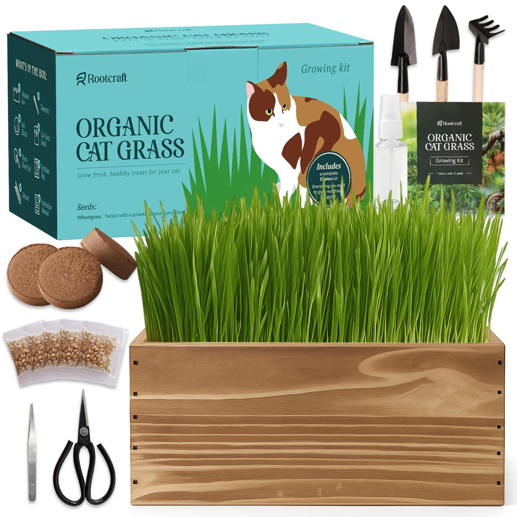 5-Pack Cat Grass Kit with Wood Planter I217162