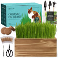 5-Pack Cat Grass Kit with Wood Planter I217162