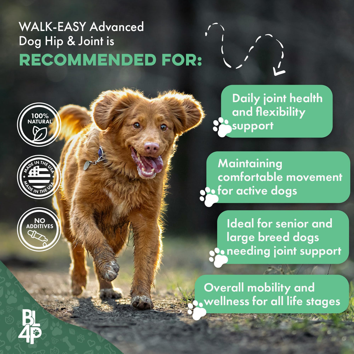 Hip and Joint Supplement for Dogs A920