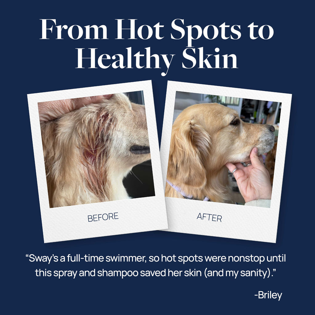 Hot Spot & Itch Relief Pet Shampoo, 16 oz D449