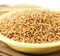 Hard White Spring Wheat Berries, 50 Lb. Bag A188