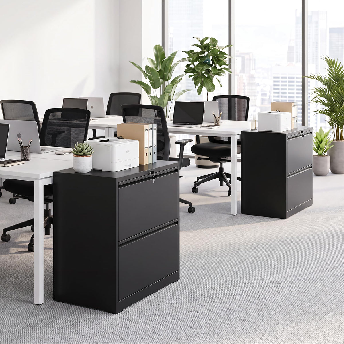 2 Drawer Metal File Cabinet with Lock G98187