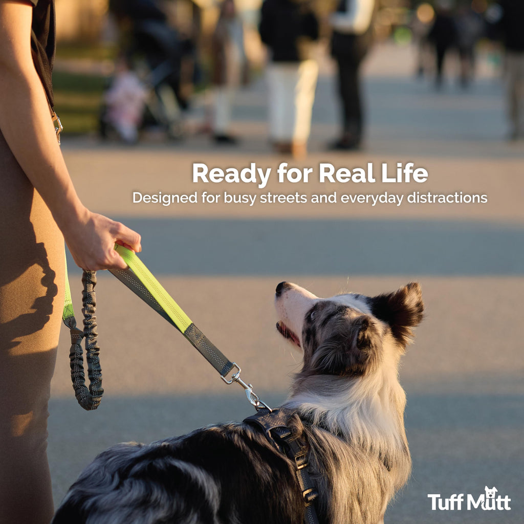 Hands Free Dog Leash N3557