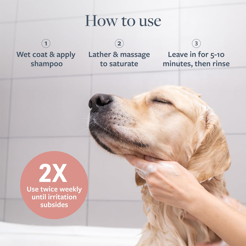 Hot Spot & Itch Relief Pet Shampoo, 16 oz D449