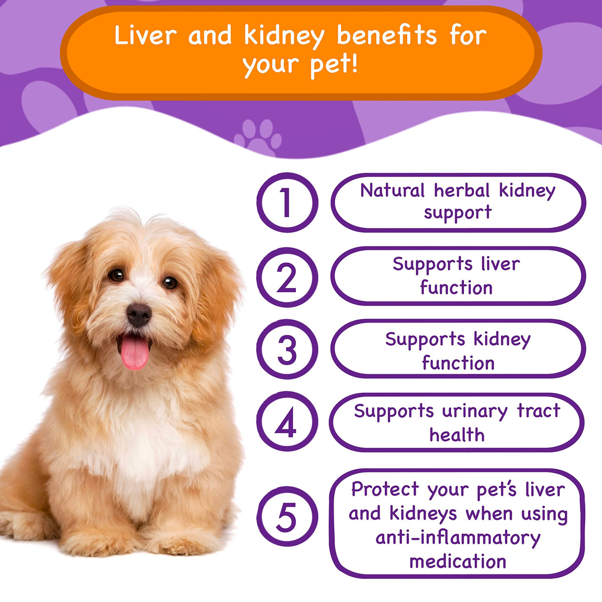 Liver & Kidney Vitamins Supplements for Dogs E314843