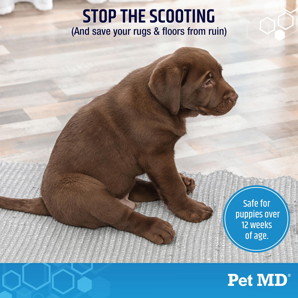 Dog Anal Gland Chews with Pumpkin and Fiber 60ct D373