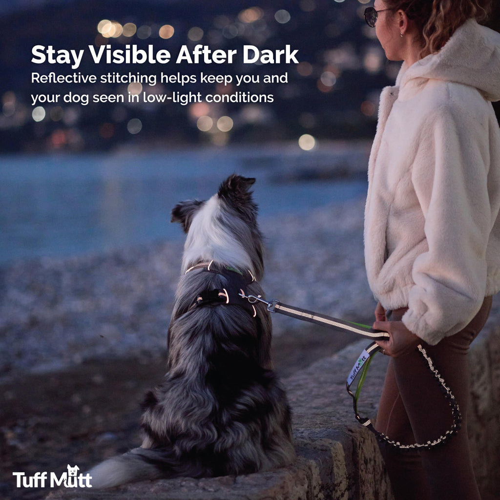 Hands Free Dog Leash N3557