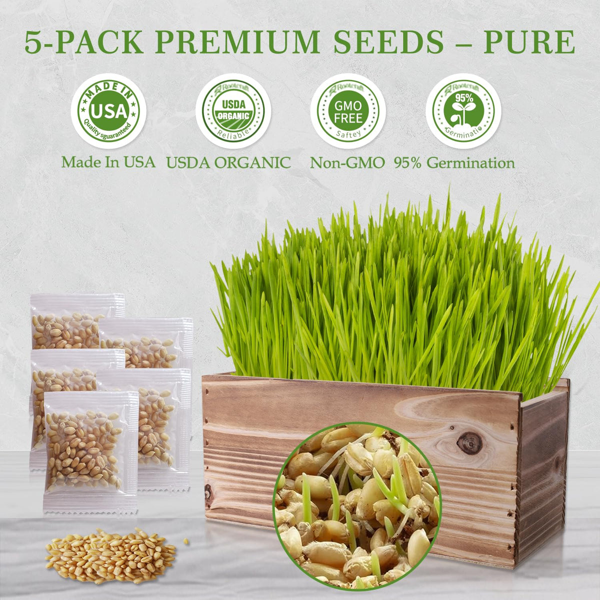 5-Pack Cat Grass Kit with Wood Planter I217162