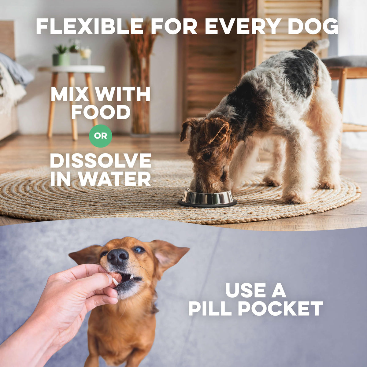Hip and Joint Supplement for Dogs A920
