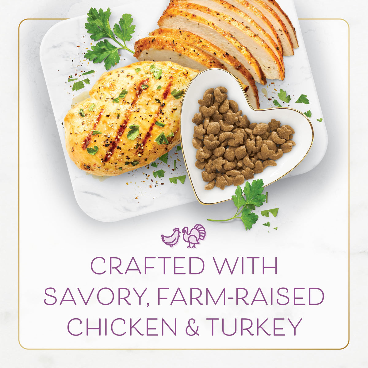 Chicken & Turkey Dry Cat Food 12lb Bag N25408