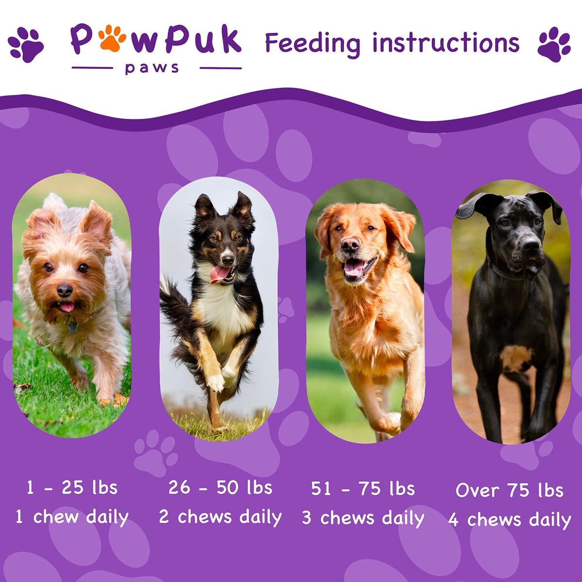 Liver & Kidney Vitamins Supplements for Dogs E314843