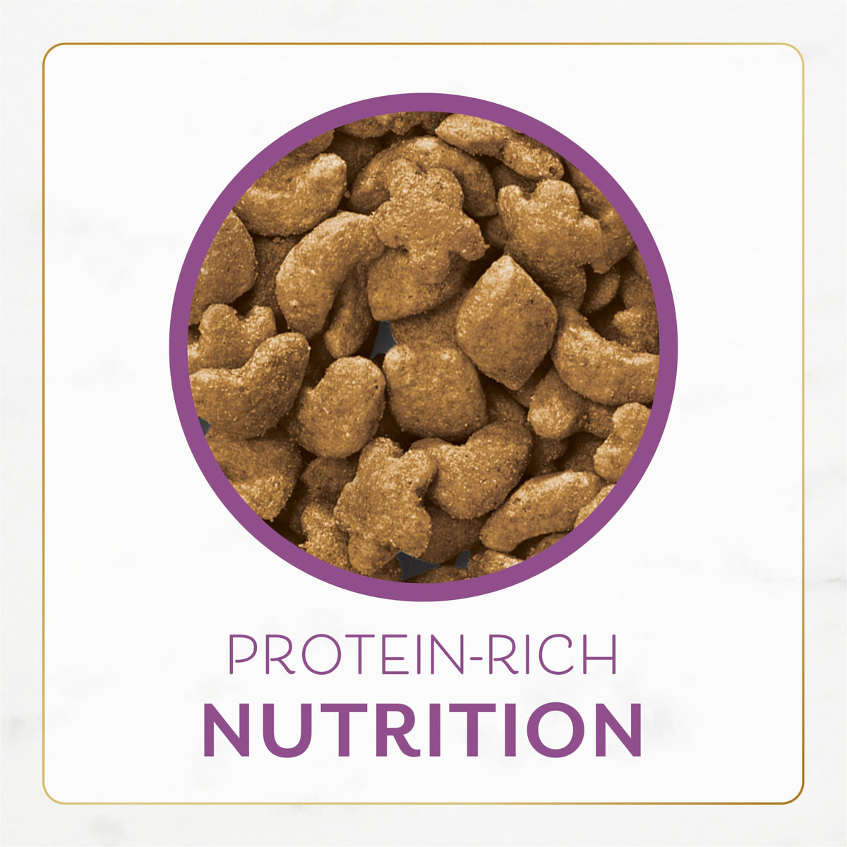Chicken & Turkey Dry Cat Food 12lb Bag N25408