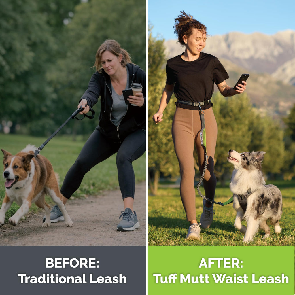 Hands Free Dog Leash N3557