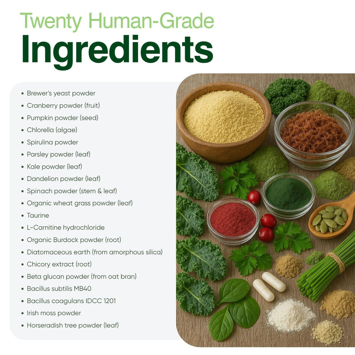 Greens Powder Supplement 3.5 oz F49761