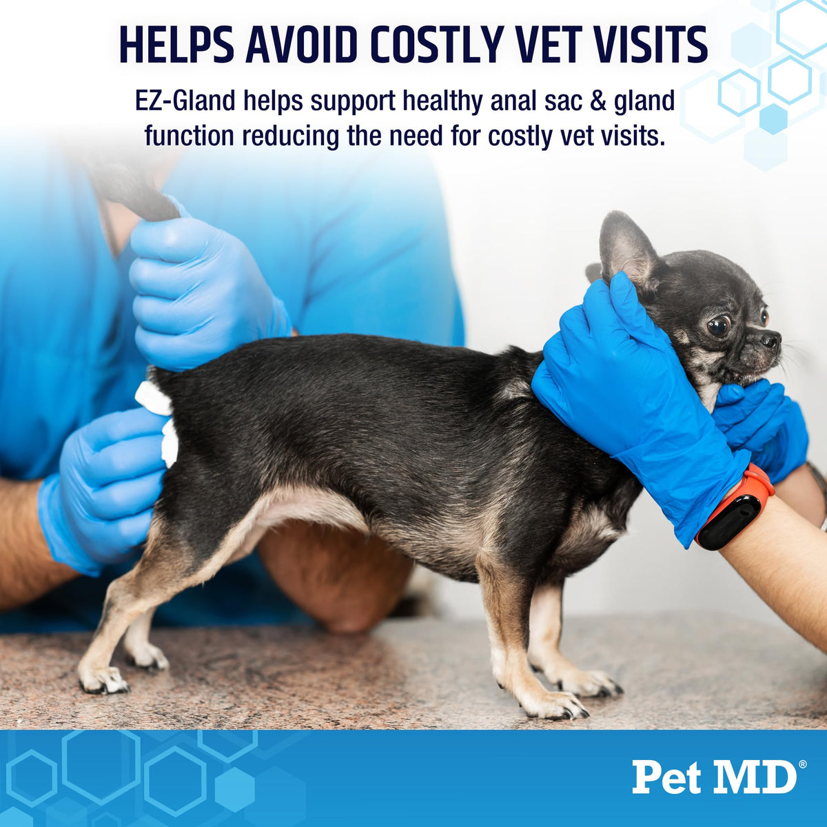 Dog Anal Gland Chews with Pumpkin and Fiber 60ct D373