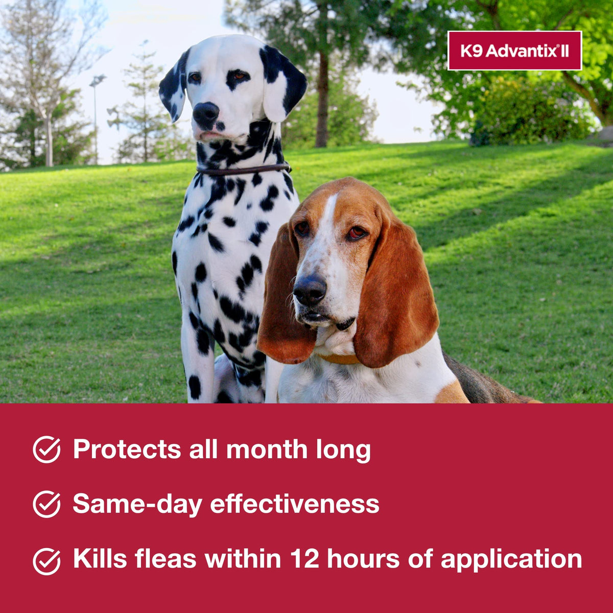 Flea, Tick & Mosquito Treatment & Prevention for Dogs 4-10 lbs Z351