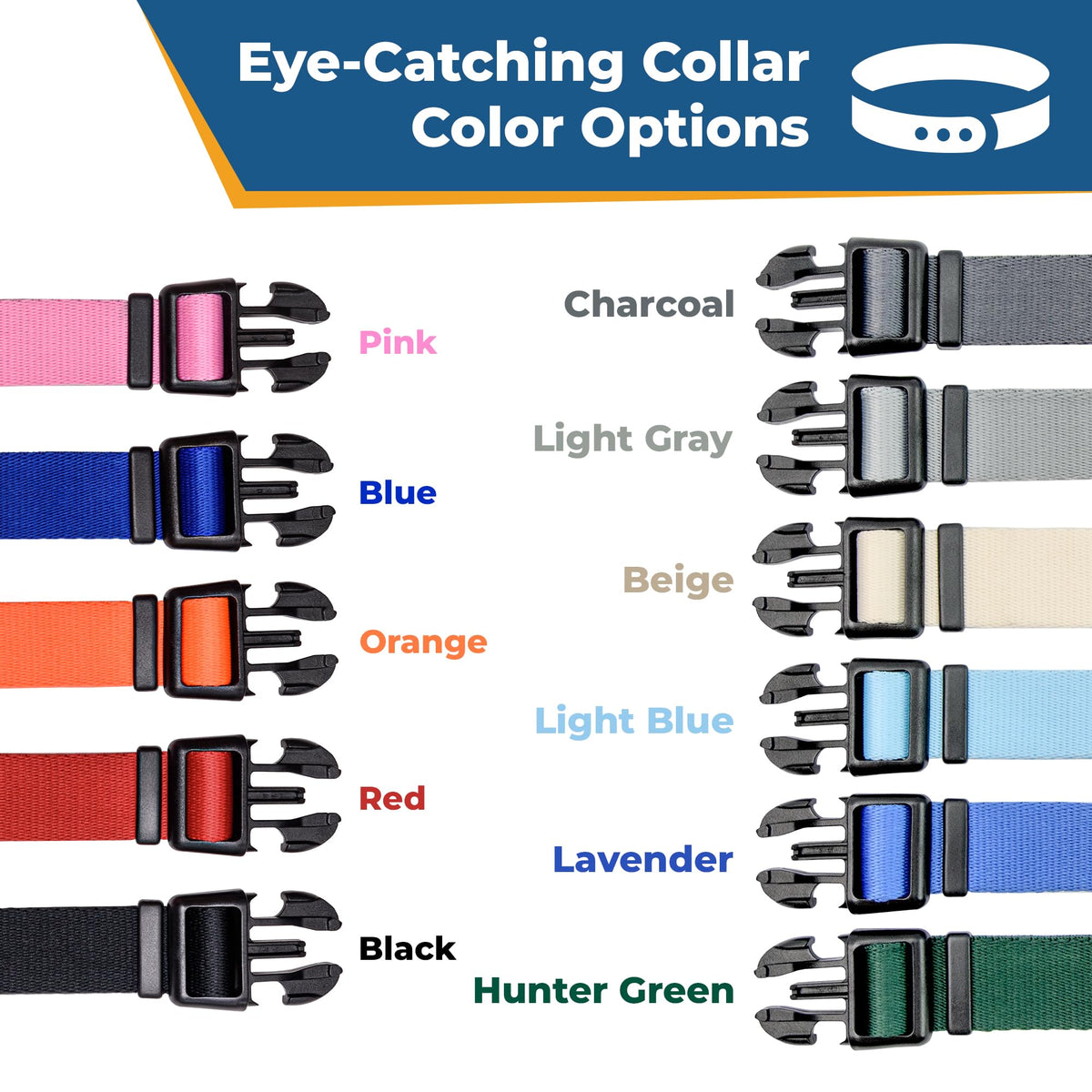Personalized Dog Collar Y484152