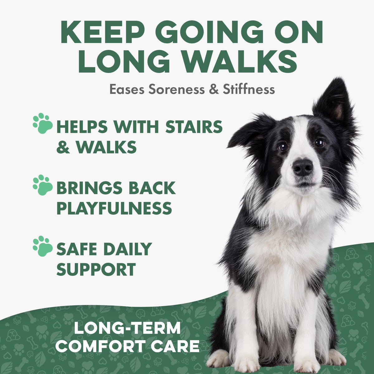 Hip and Joint Supplement for Dogs A920
