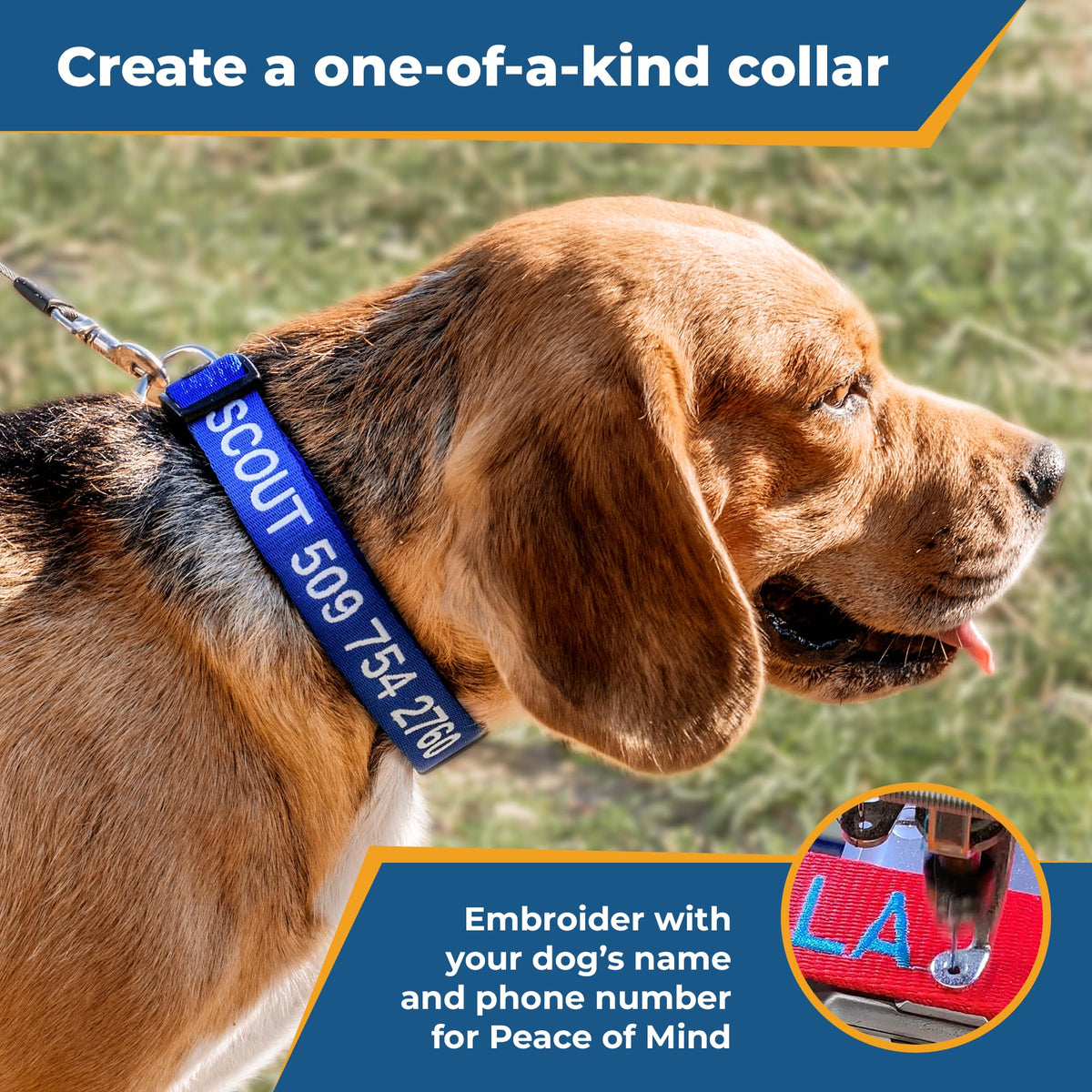 Personalized Dog Collar Y484152