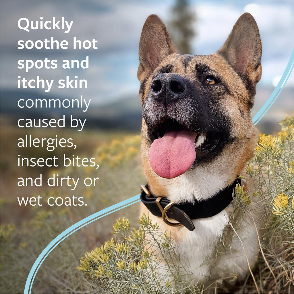Hot Spot & Itch Relief Pet Shampoo, 16 oz D449
