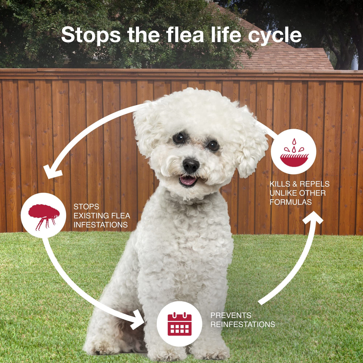 Flea, Tick & Mosquito Treatment & Prevention for Dogs 4-10 lbs Z351