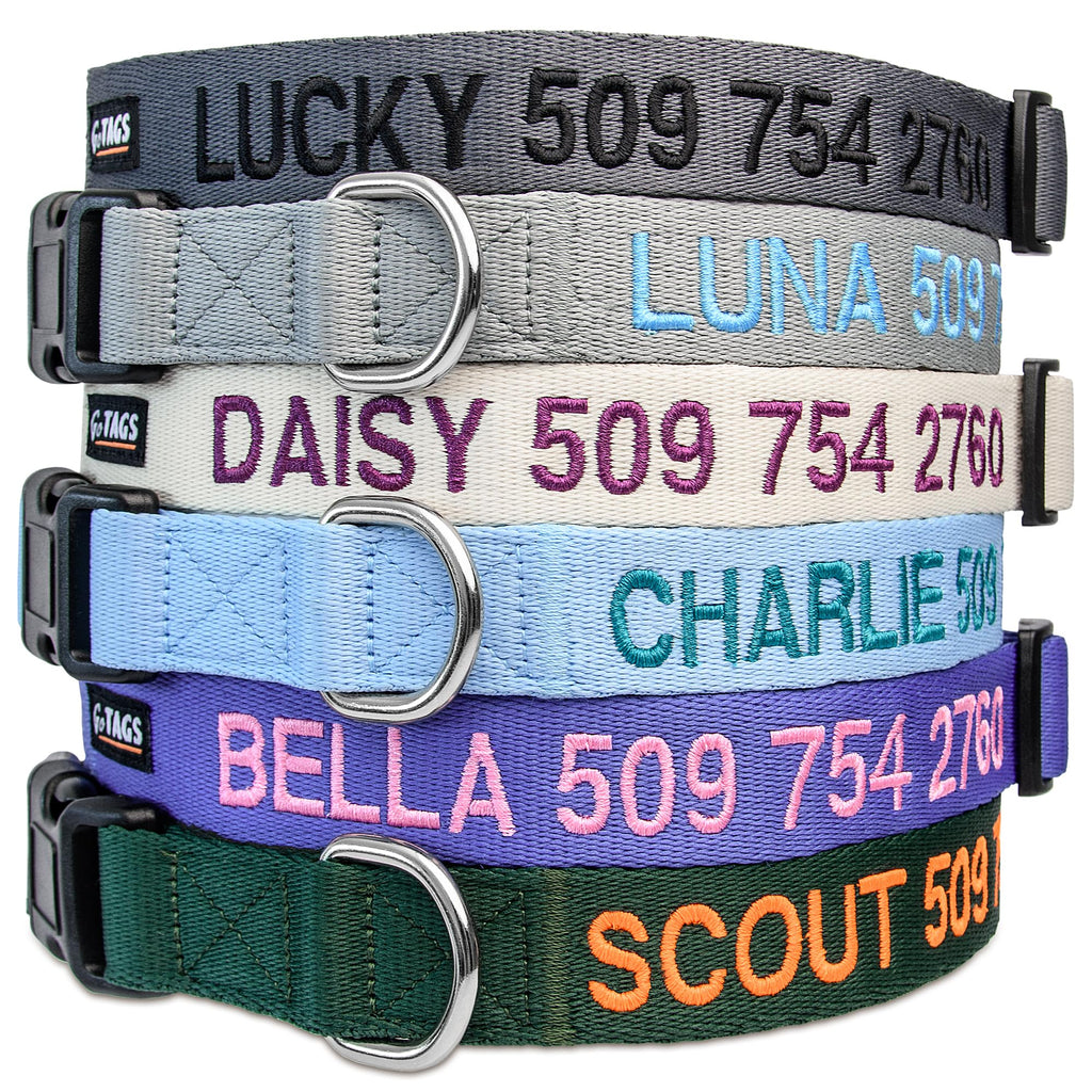 Personalized Dog Collar Y484152